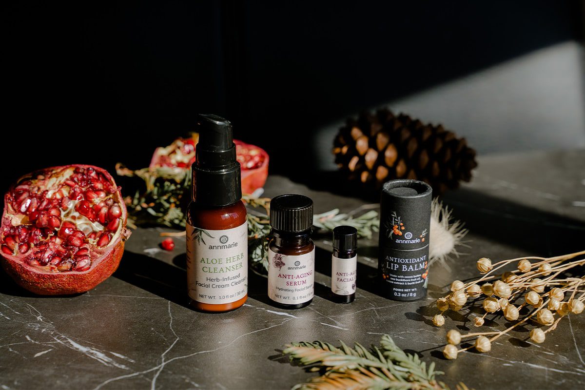 Annmarie Skin Care 3-Step Winter Clean Beauty Trial