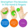 Hand Therapy Balls